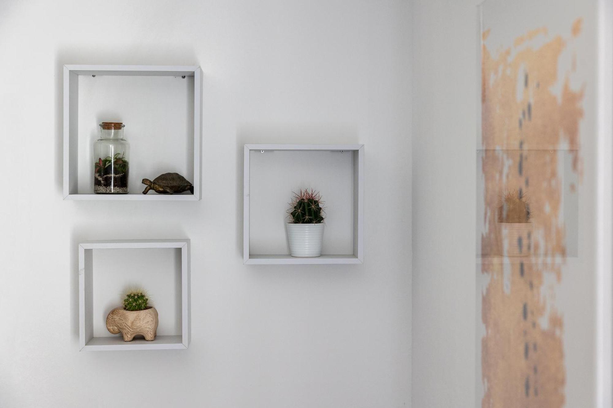 Apartamento Domus *